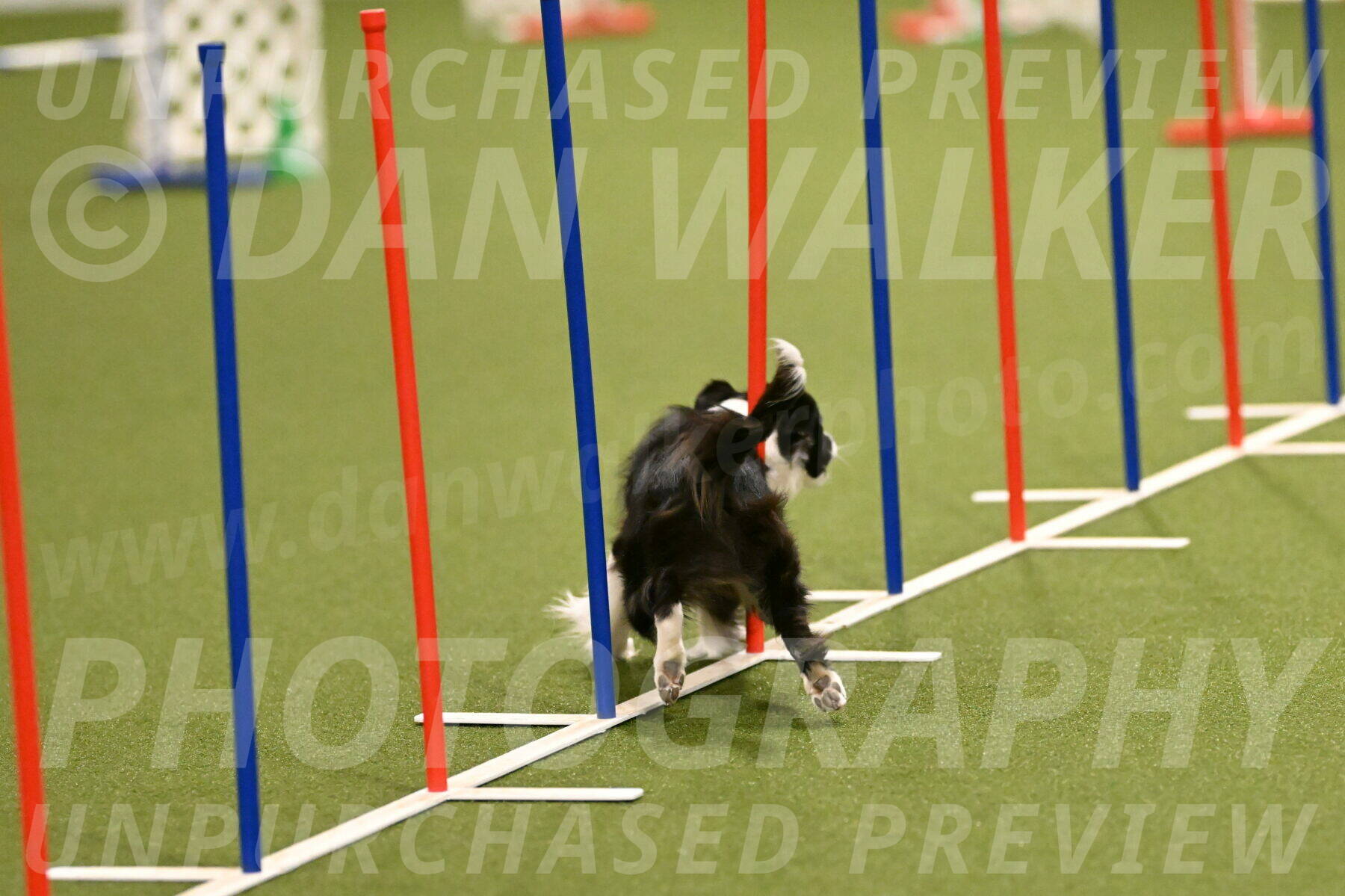 Esme-Samantha-Yanchik-00885