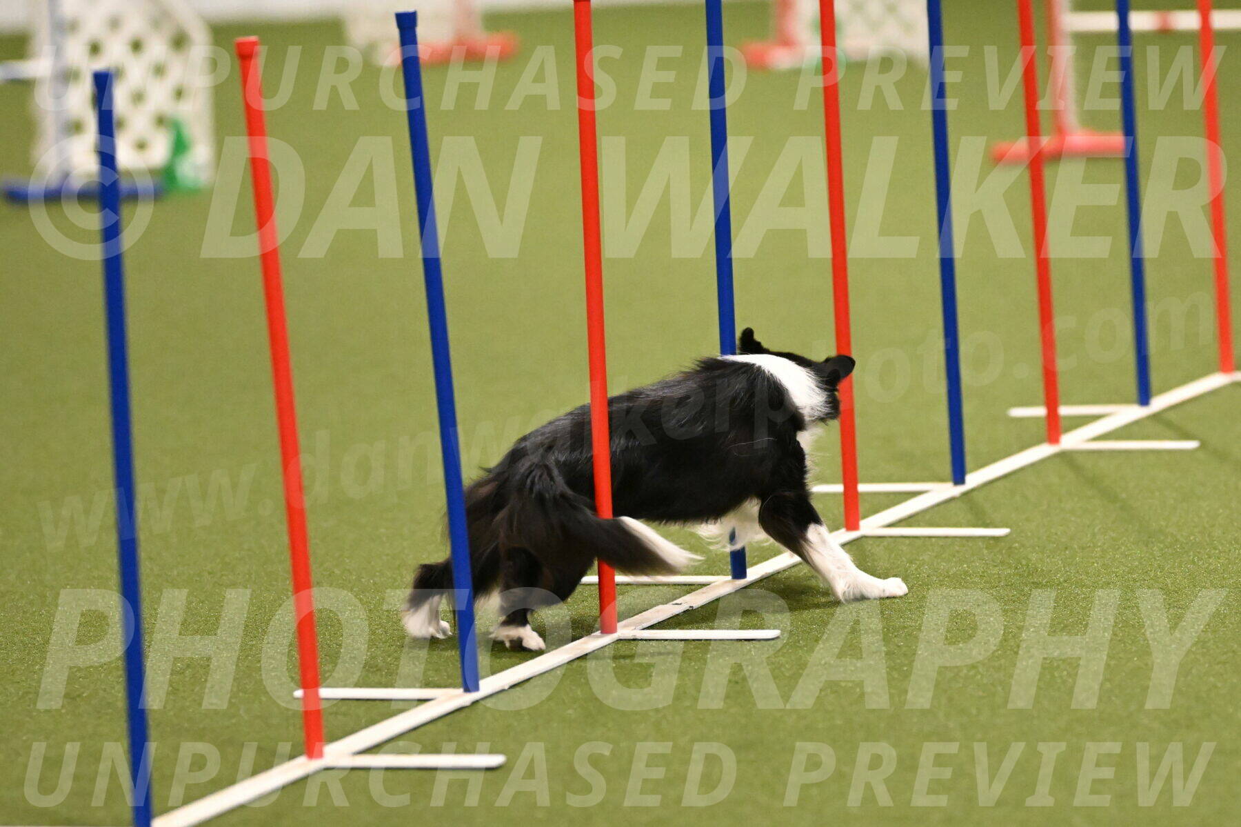 Esme-Samantha-Yanchik-00886