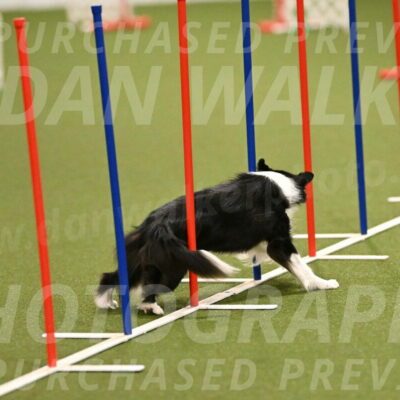 Esme-Samantha-Yanchik-00886