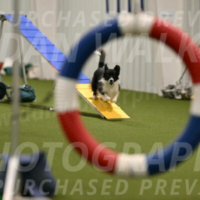 Esme-Samantha-Yanchik-00887