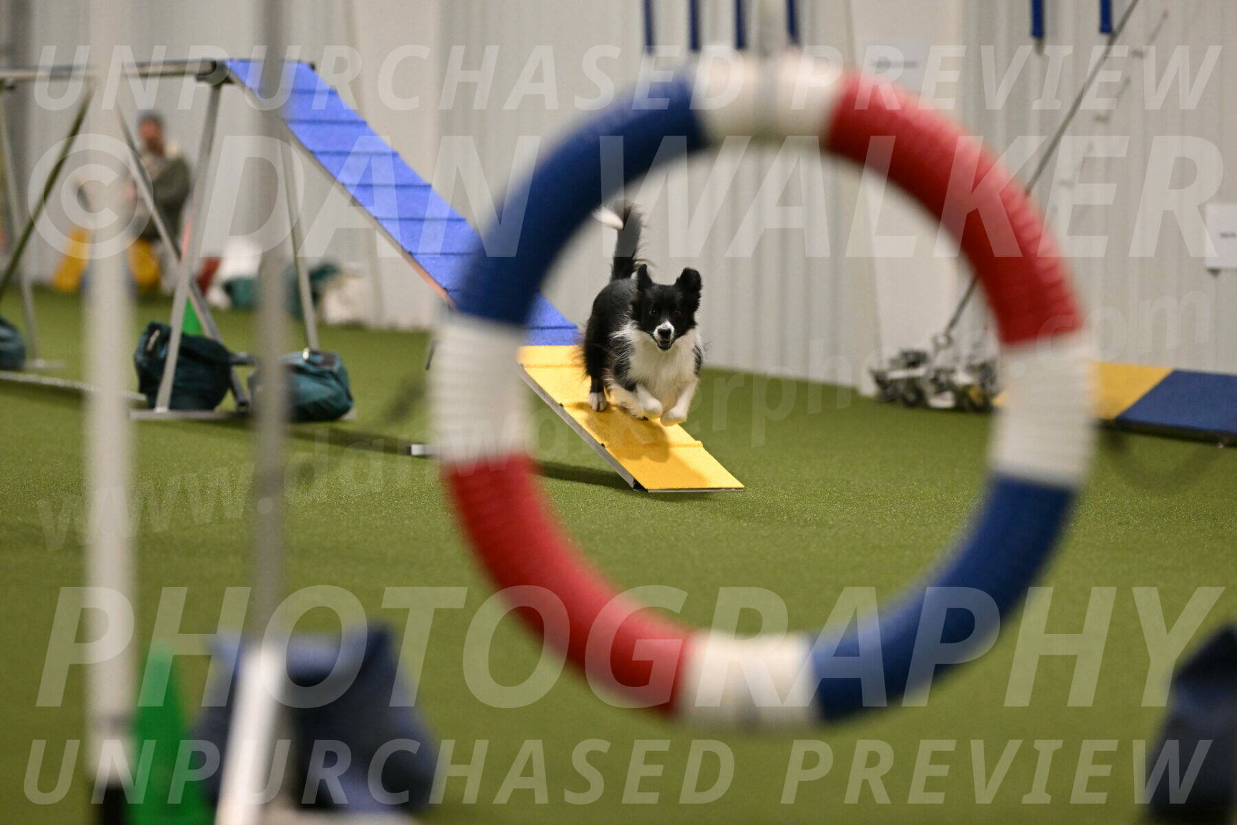 Esme-Samantha-Yanchik-00887