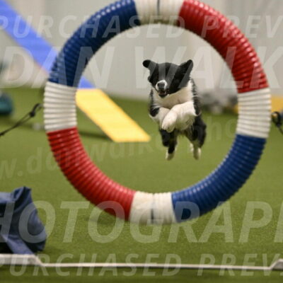 Esme-Samantha-Yanchik-00888