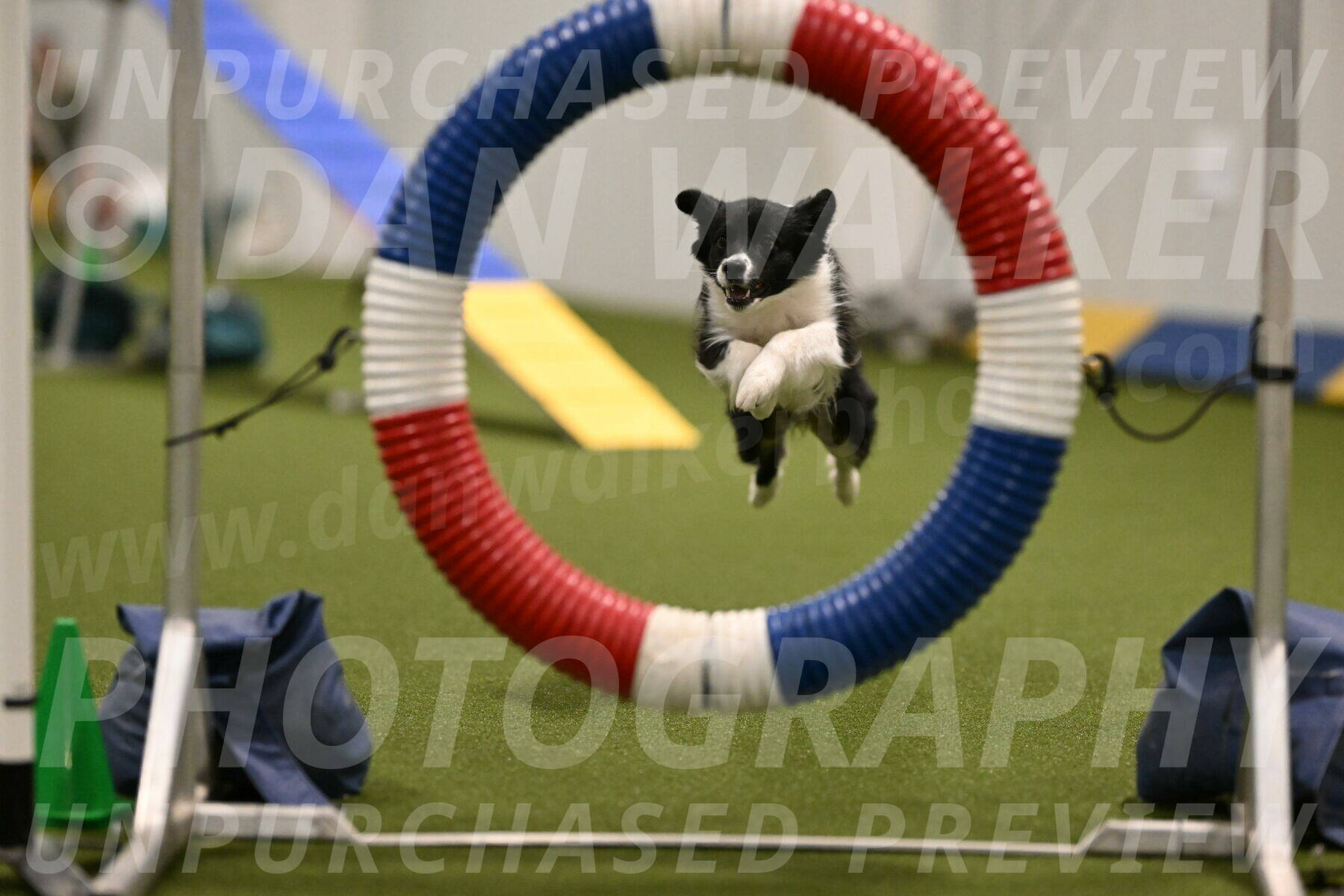 Esme-Samantha-Yanchik-00888