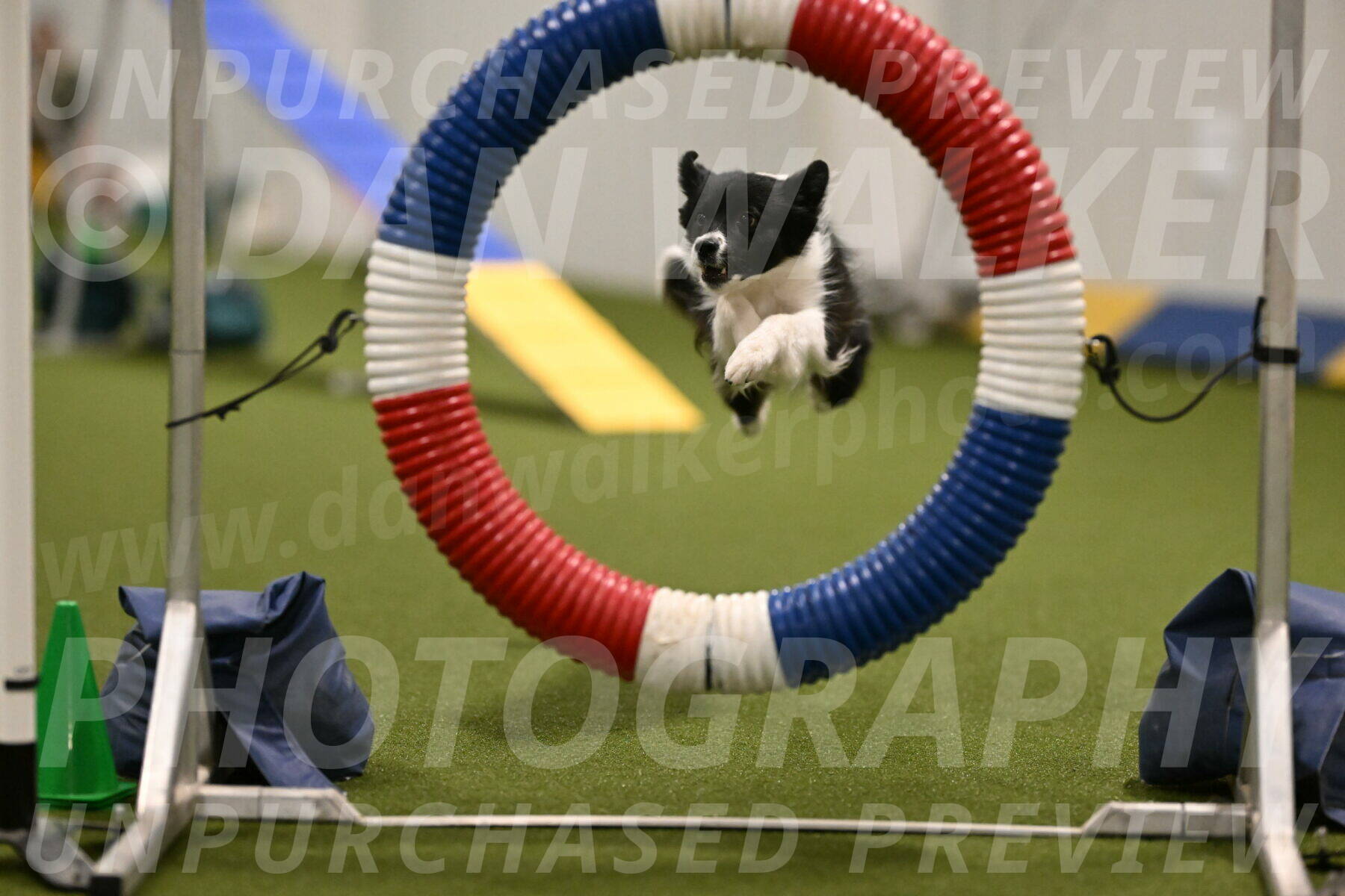 Esme-Samantha-Yanchik-00889