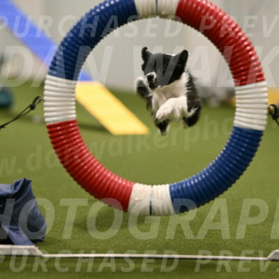 Esme-Samantha-Yanchik-00889