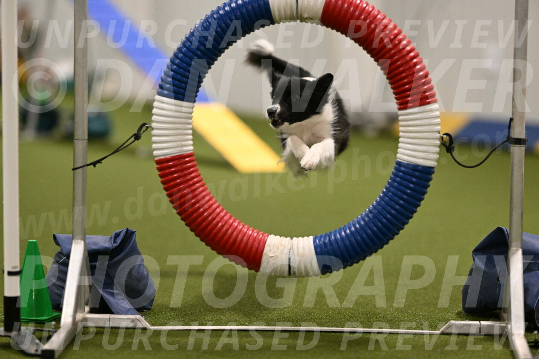 Esme-Samantha-Yanchik-00890