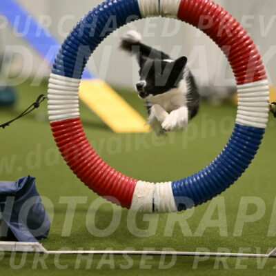 Esme-Samantha-Yanchik-00890