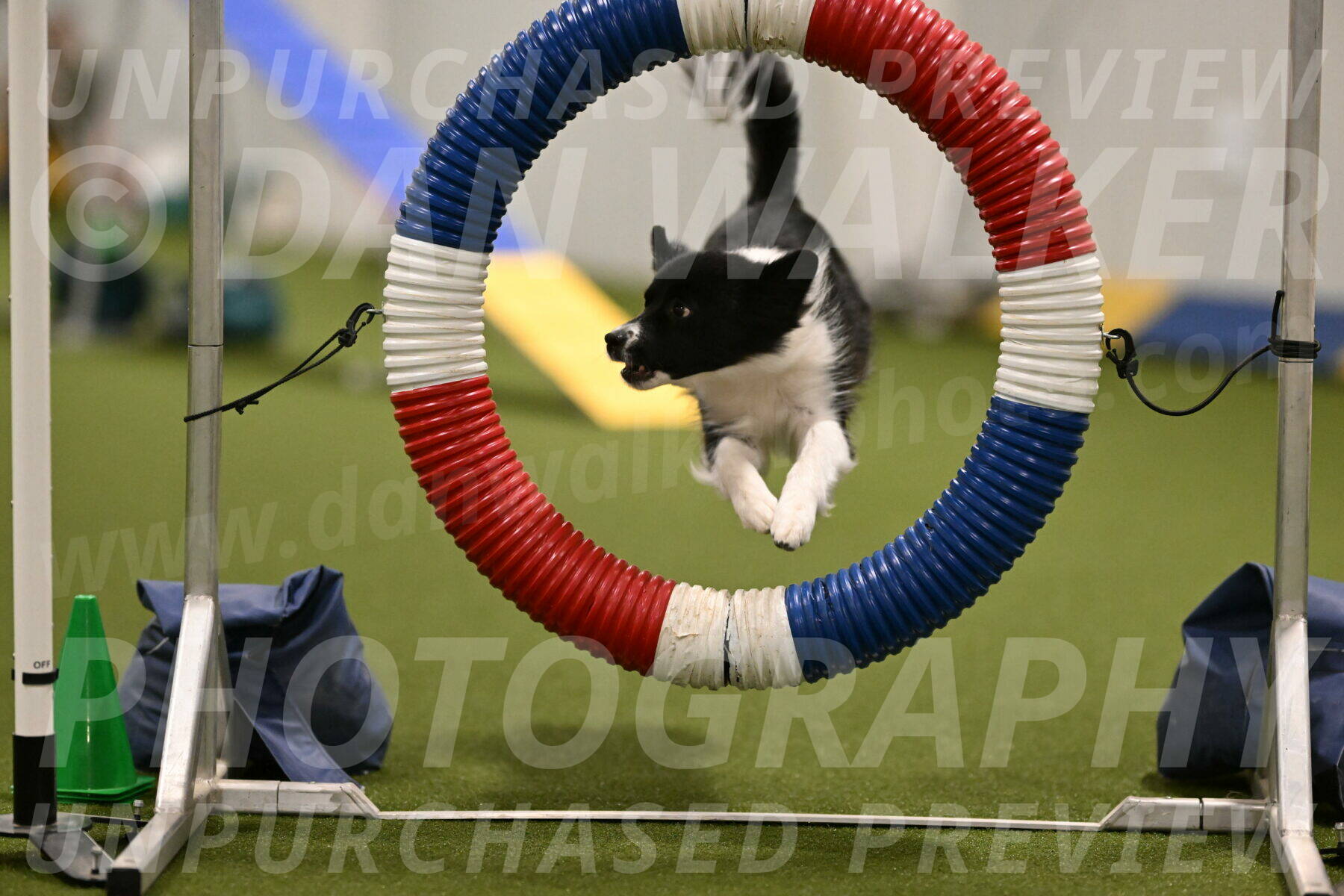 Esme-Samantha-Yanchik-00891