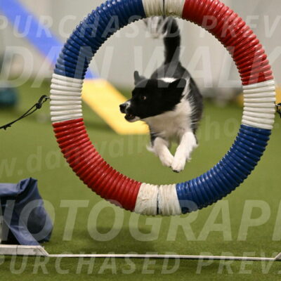 Esme-Samantha-Yanchik-00891