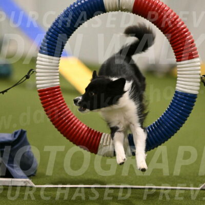 Esme-Samantha-Yanchik-00892