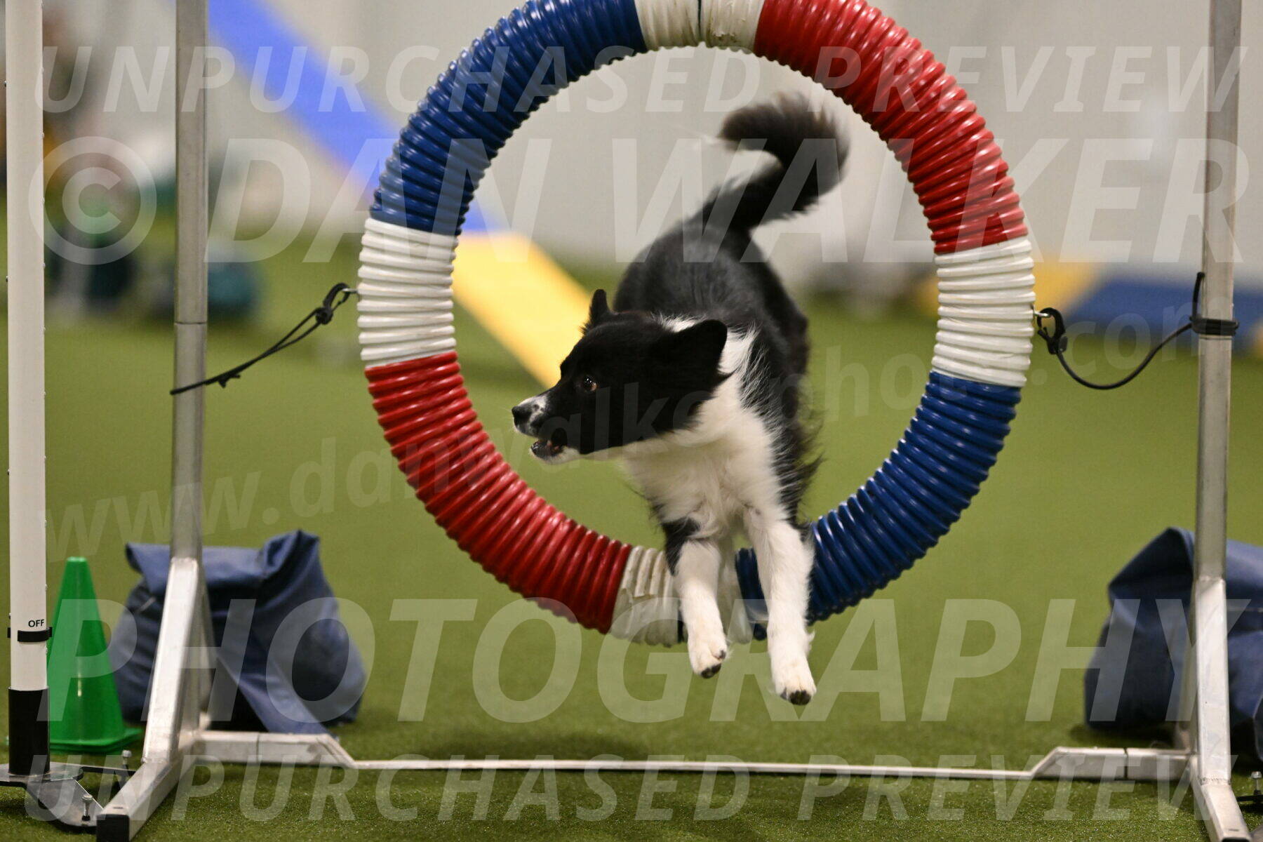 Esme-Samantha-Yanchik-00892