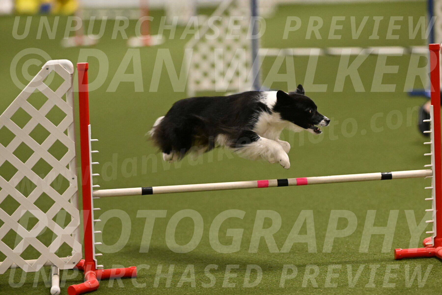 Esme-Samantha-Yanchik-00893