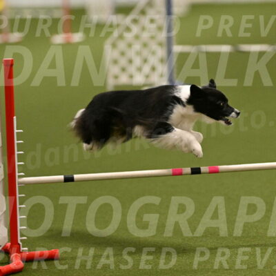 Esme-Samantha-Yanchik-00893