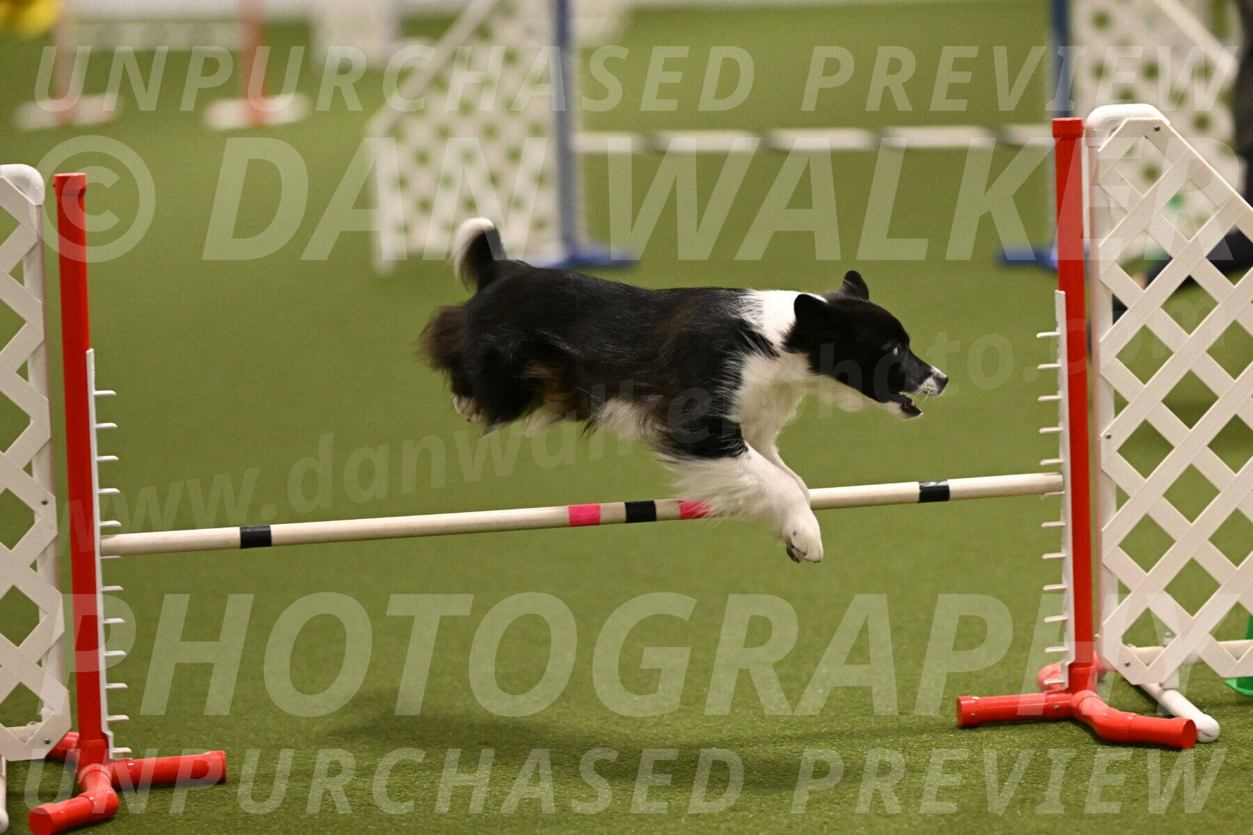 Esme-Samantha-Yanchik-00894