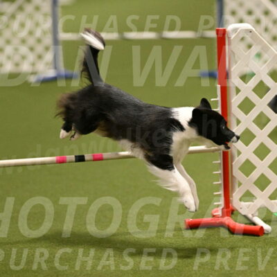 Esme-Samantha-Yanchik-00895