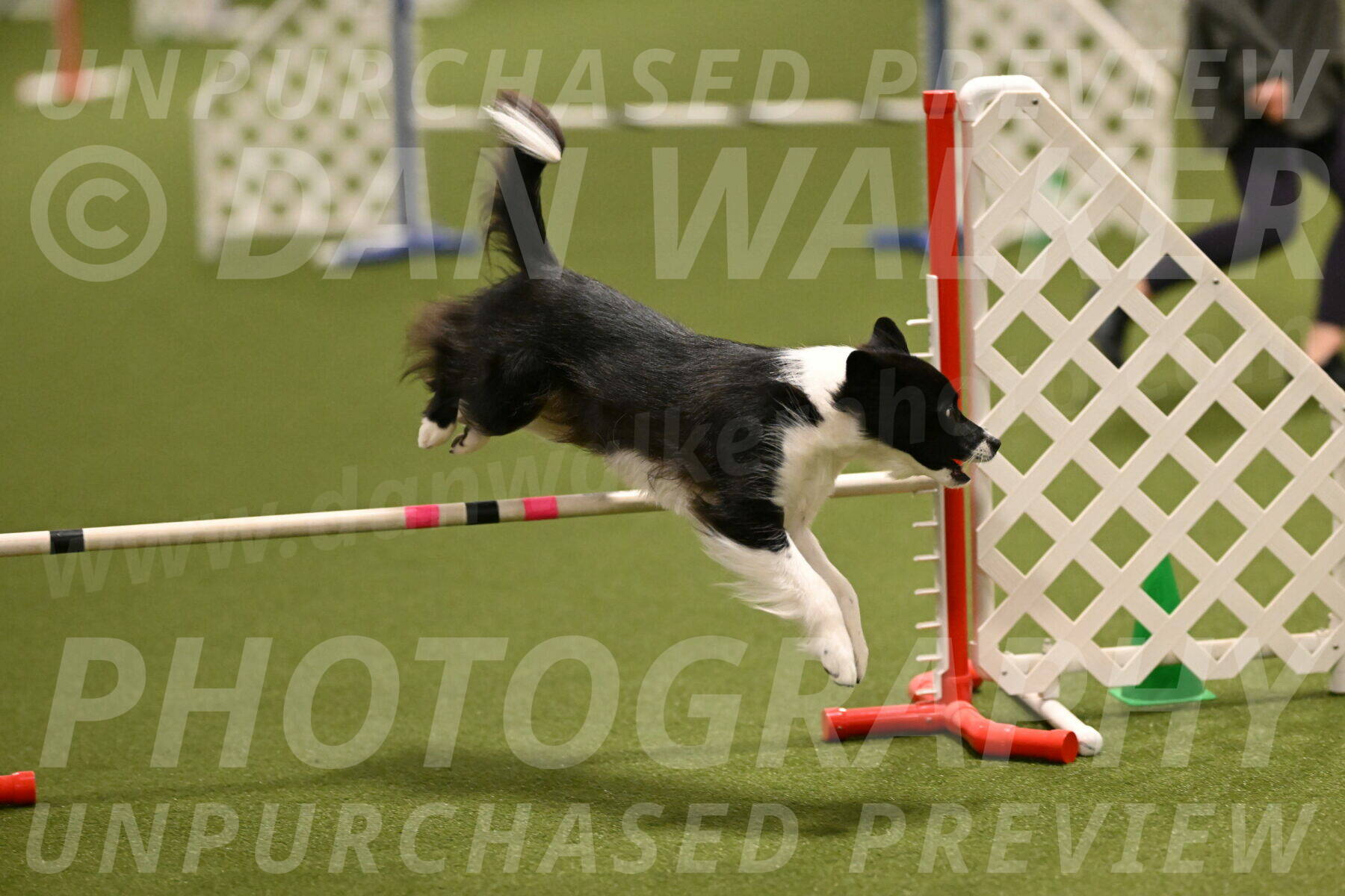 Esme-Samantha-Yanchik-00895