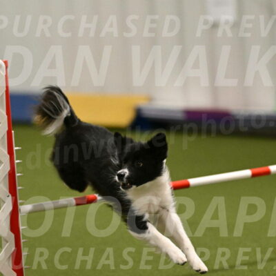 Esme-Samantha-Yanchik-00896