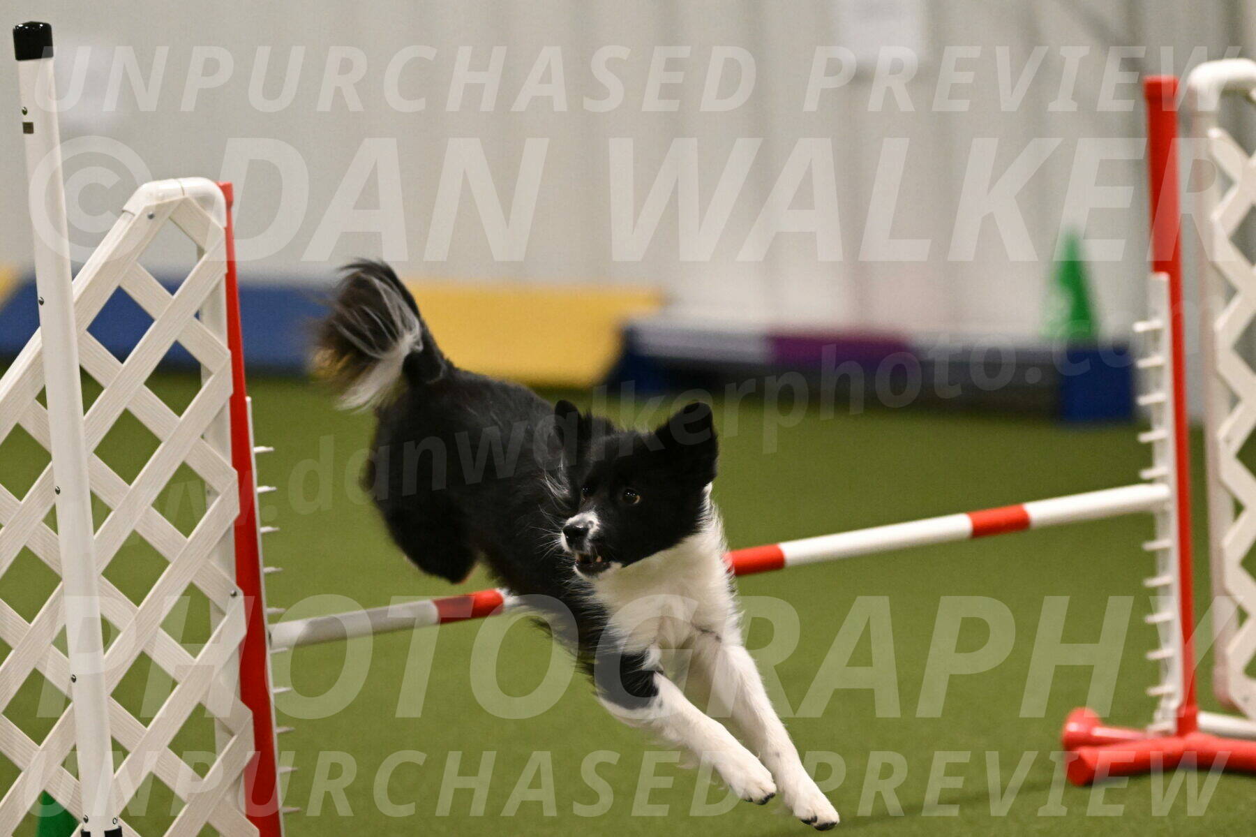 Esme-Samantha-Yanchik-00896