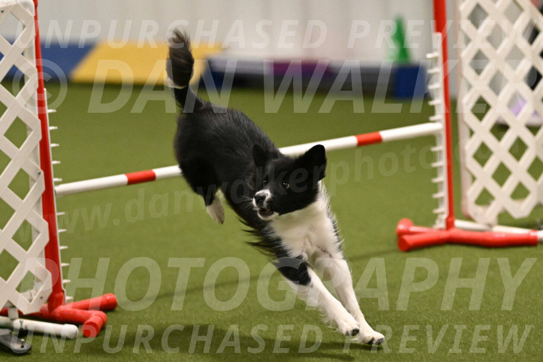 Esme-Samantha-Yanchik-00897