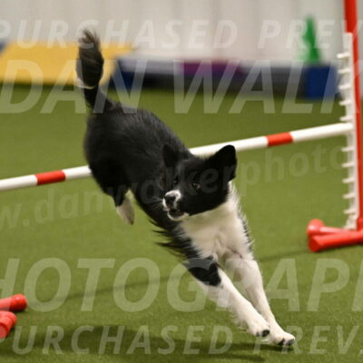 Esme-Samantha-Yanchik-00897