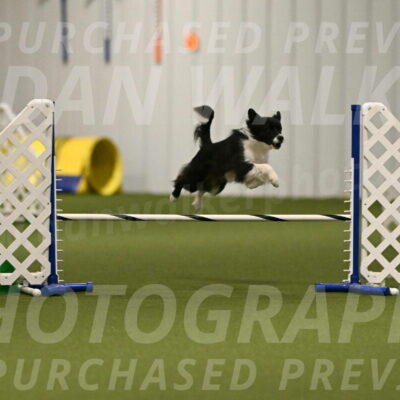 Esme-Samantha-Yanchik-00898