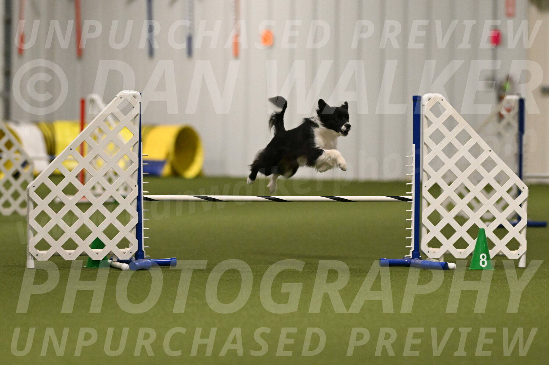 Esme-Samantha-Yanchik-00898