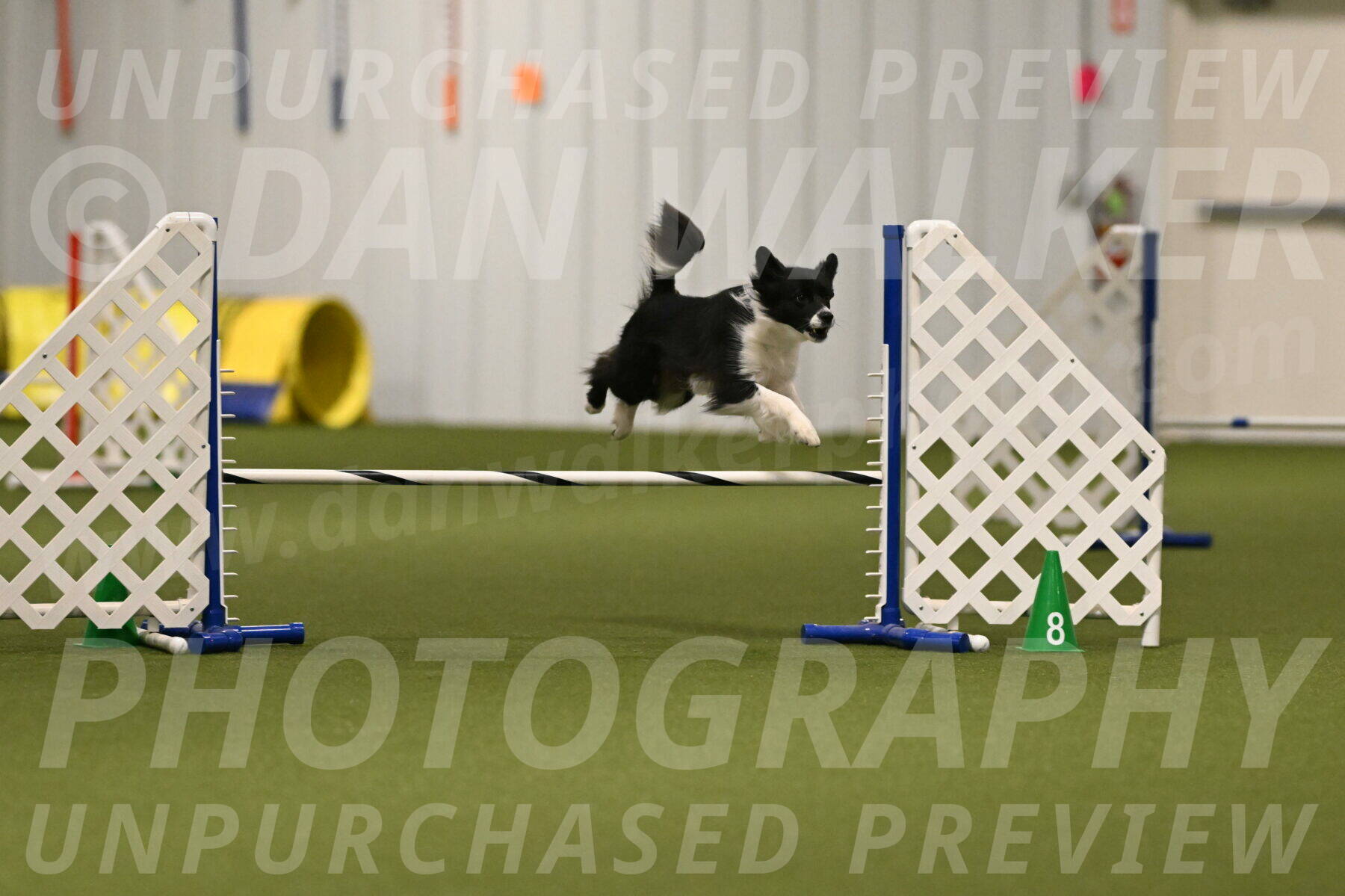 Esme-Samantha-Yanchik-00899