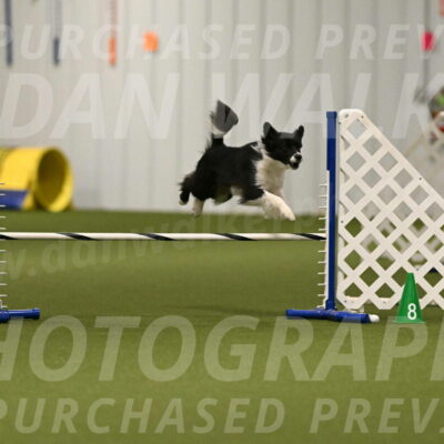 Esme-Samantha-Yanchik-00899