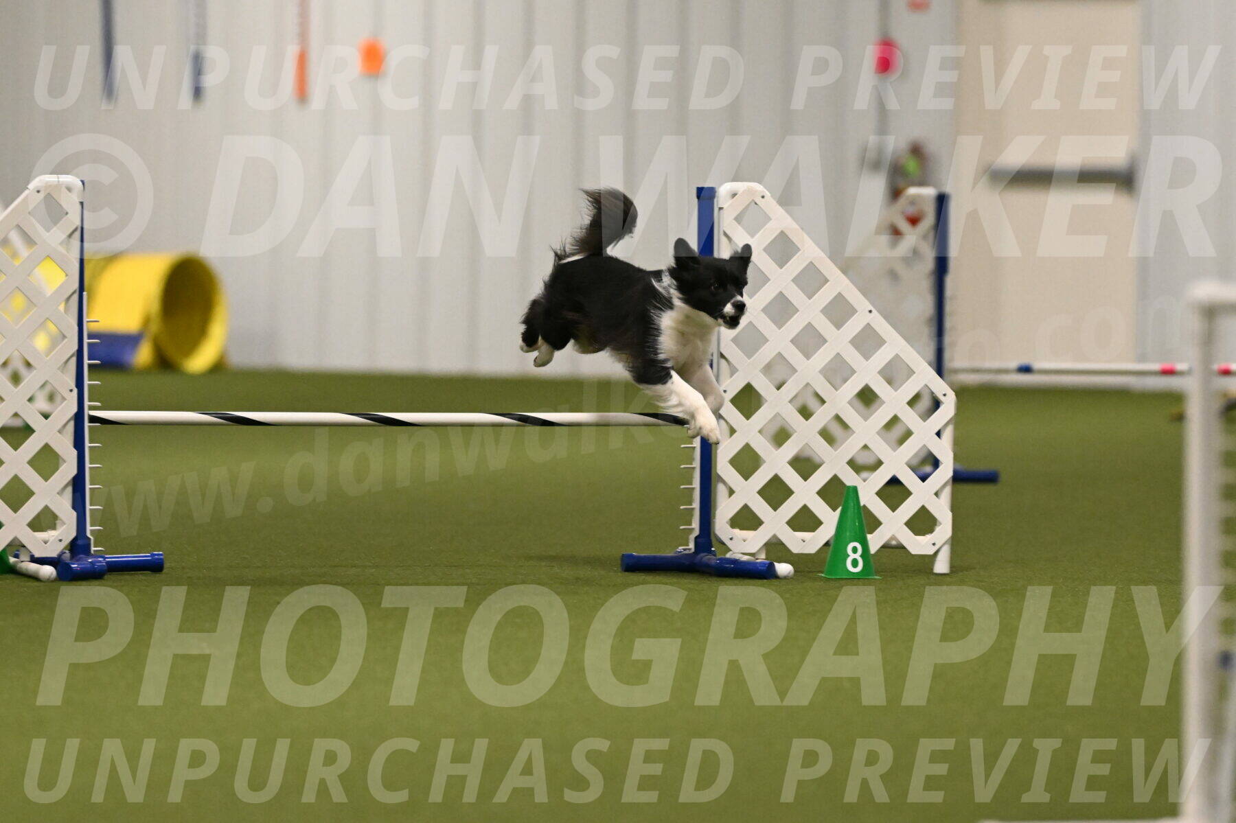 Esme-Samantha-Yanchik-00900