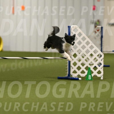 Esme-Samantha-Yanchik-00900