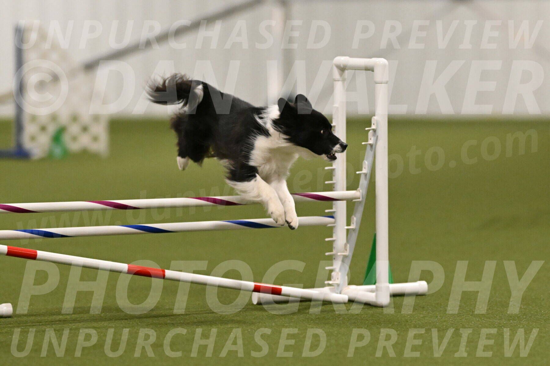 Esme-Samantha-Yanchik-00901