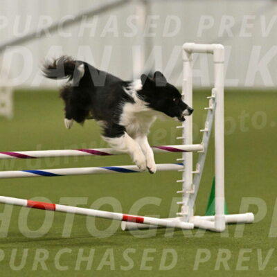 Esme-Samantha-Yanchik-00901