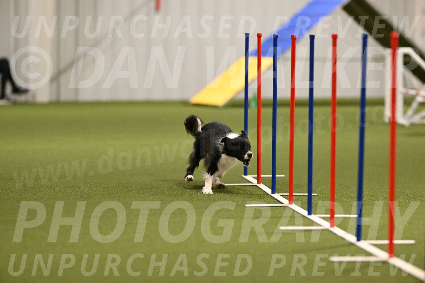 Esme-Samantha-Yanchik-00902