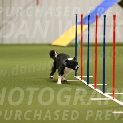 Esme-Samantha-Yanchik-00902