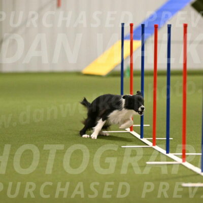 Esme-Samantha-Yanchik-00903