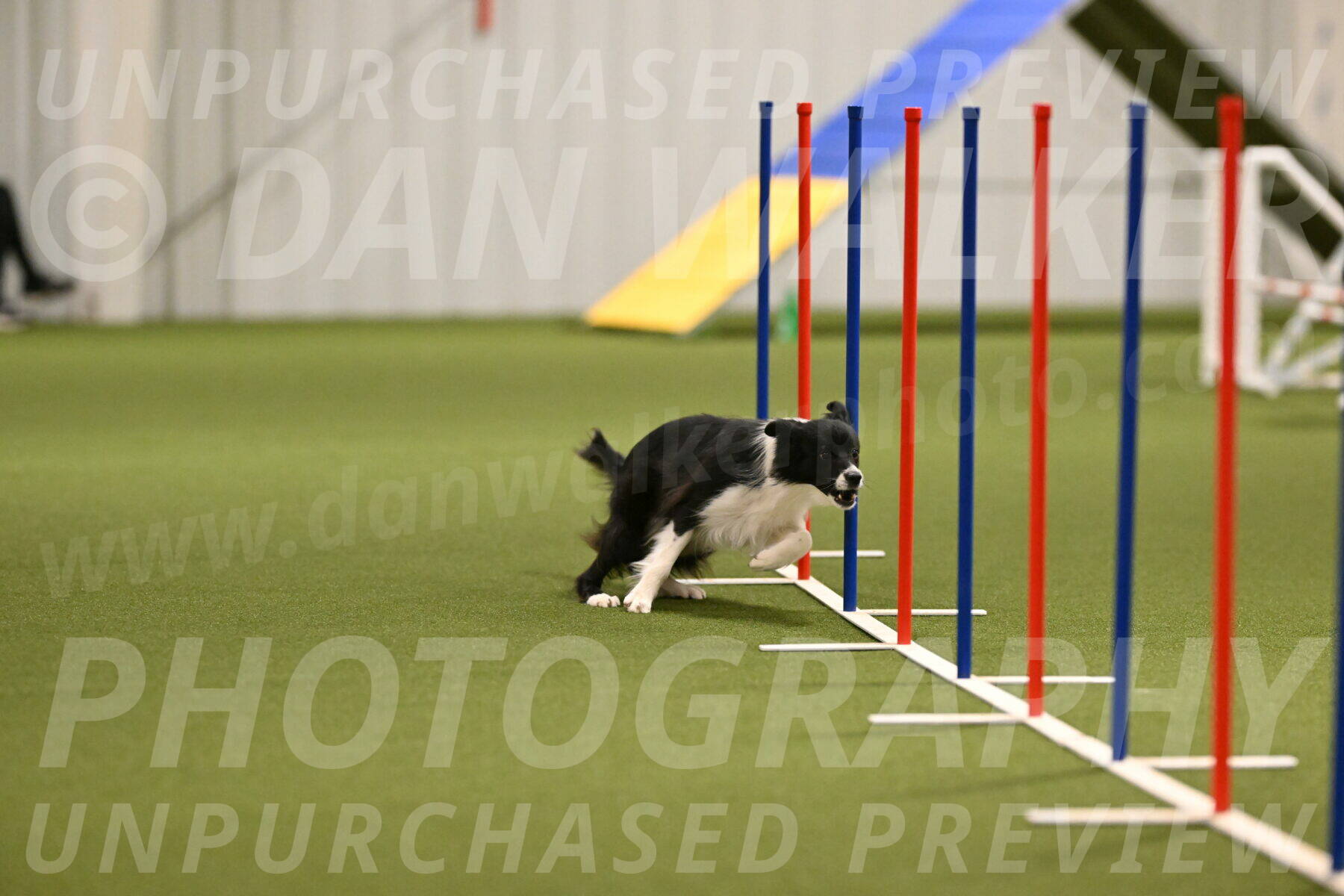 Esme-Samantha-Yanchik-00903