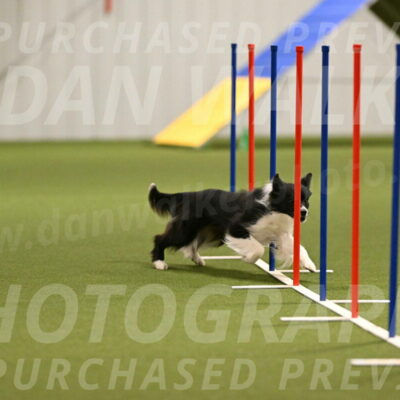 Esme-Samantha-Yanchik-00904