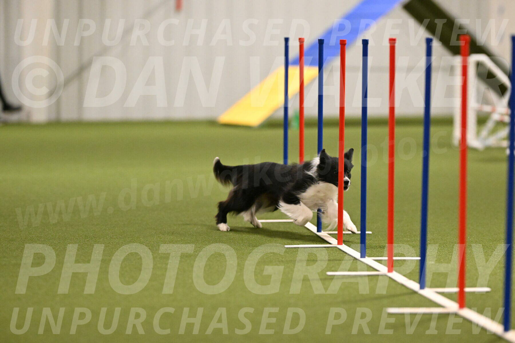 Esme-Samantha-Yanchik-00904