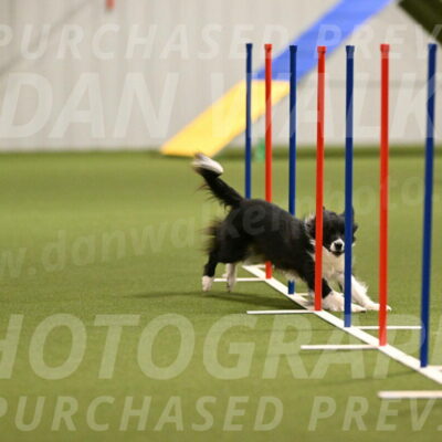 Esme-Samantha-Yanchik-00905