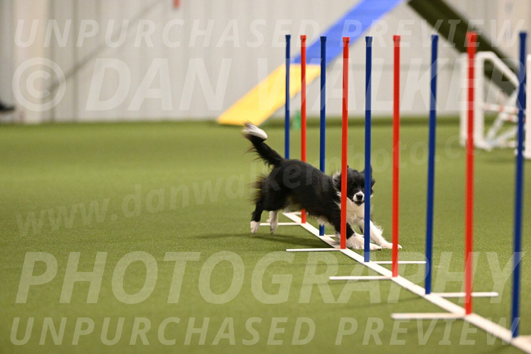 Esme-Samantha-Yanchik-00905