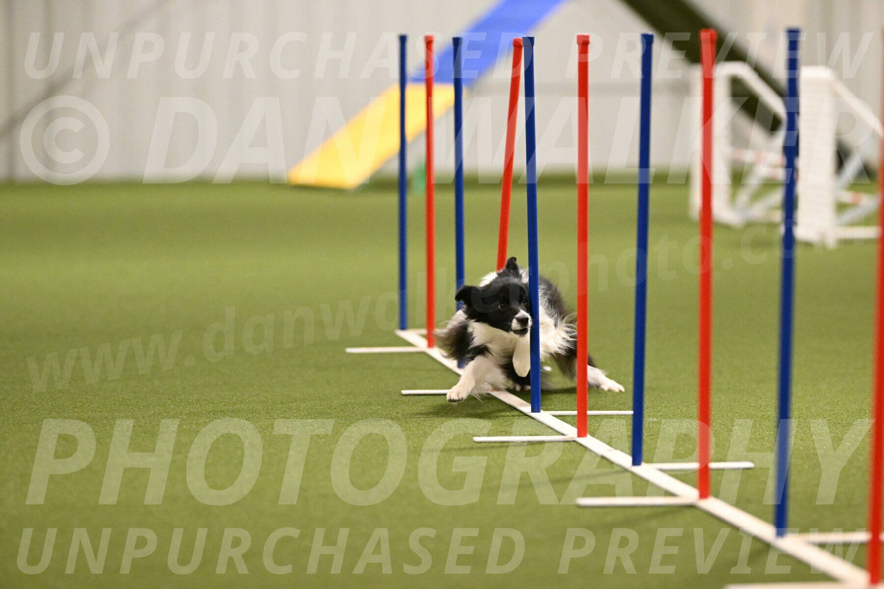 Esme-Samantha-Yanchik-00906