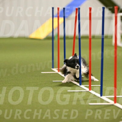 Esme-Samantha-Yanchik-00906