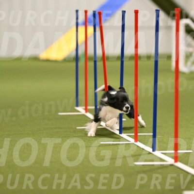 Esme-Samantha-Yanchik-00907