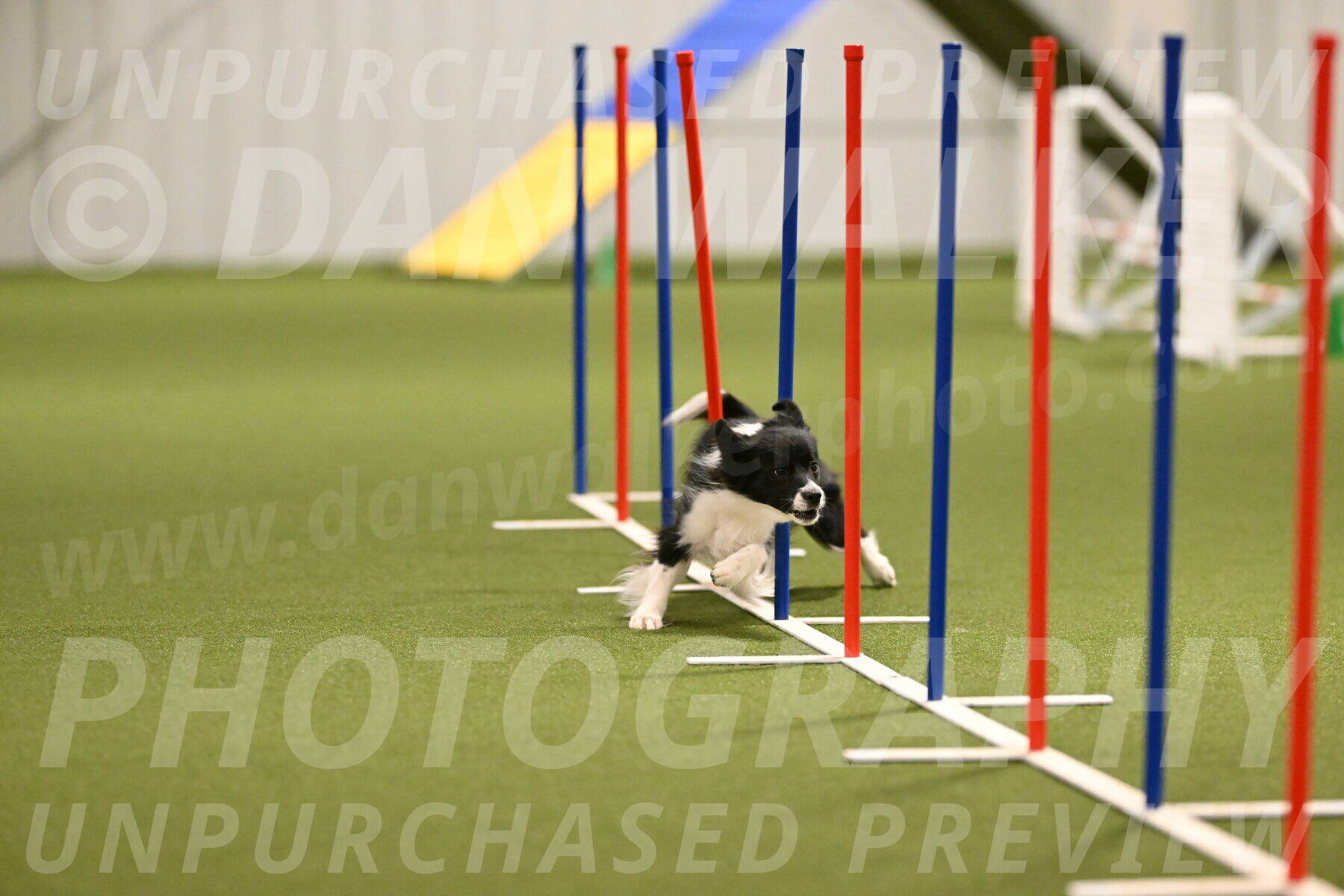 Esme-Samantha-Yanchik-00907