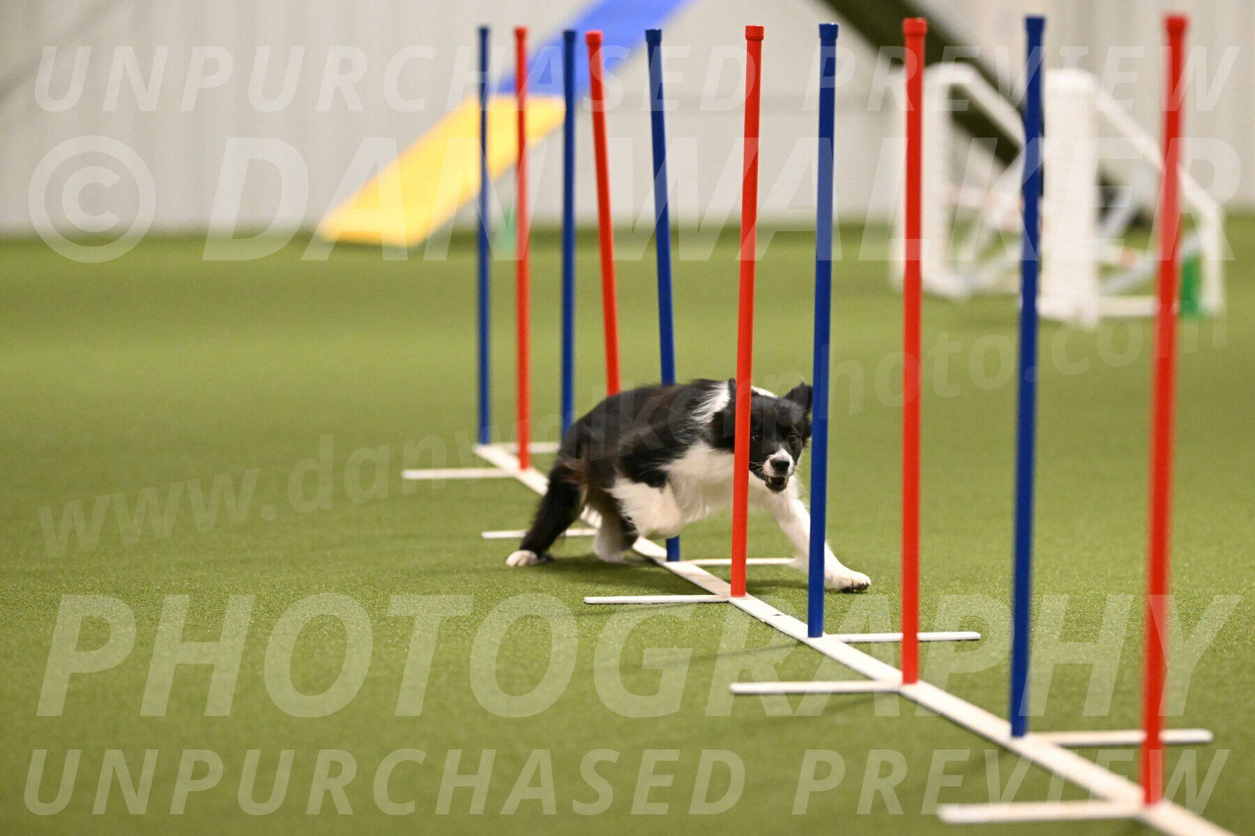 Esme-Samantha-Yanchik-00908