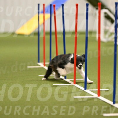 Esme-Samantha-Yanchik-00908