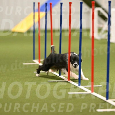 Esme-Samantha-Yanchik-00909