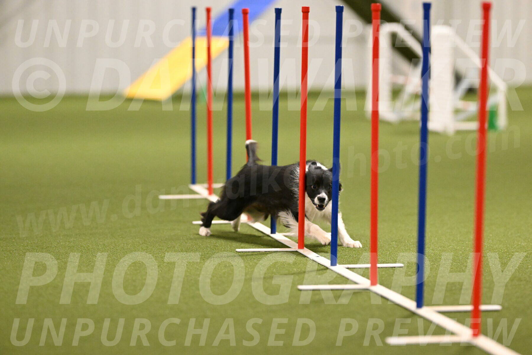 Esme-Samantha-Yanchik-00909