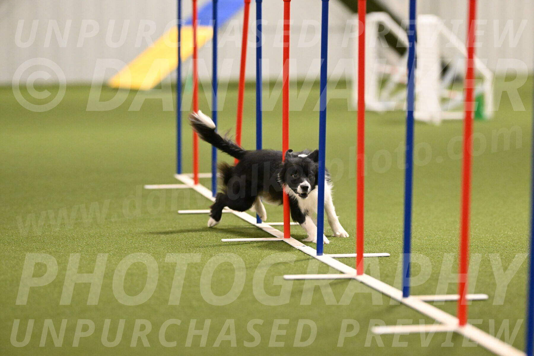 Esme-Samantha-Yanchik-00910