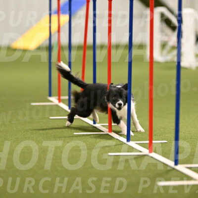 Esme-Samantha-Yanchik-00910